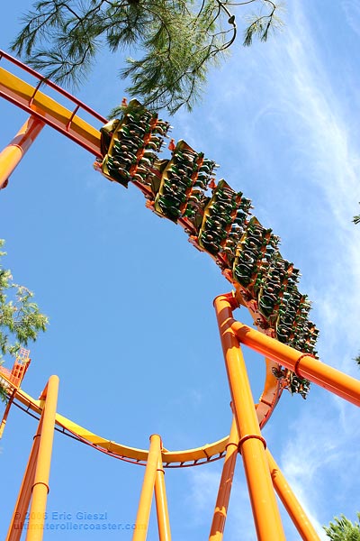 Tatsu Roller Coaster Six Flags Magic Mountain